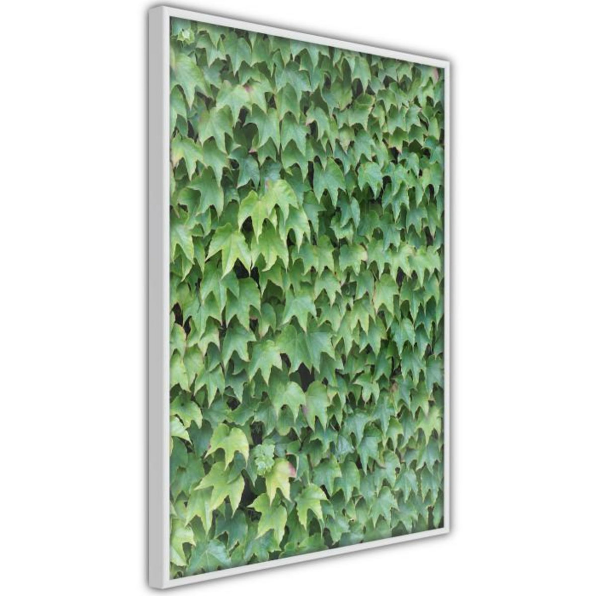 Paris Prix Affiche Murale Encadrée  Hidden