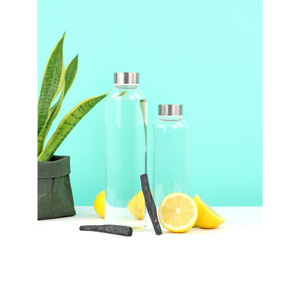 Lot de 2 batons de charbon pour filtration natuelle