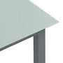 Voir la diapositive 4 : VIDAXL Table de jardin Gris clair 80x80x74 cm Aluminium et verre