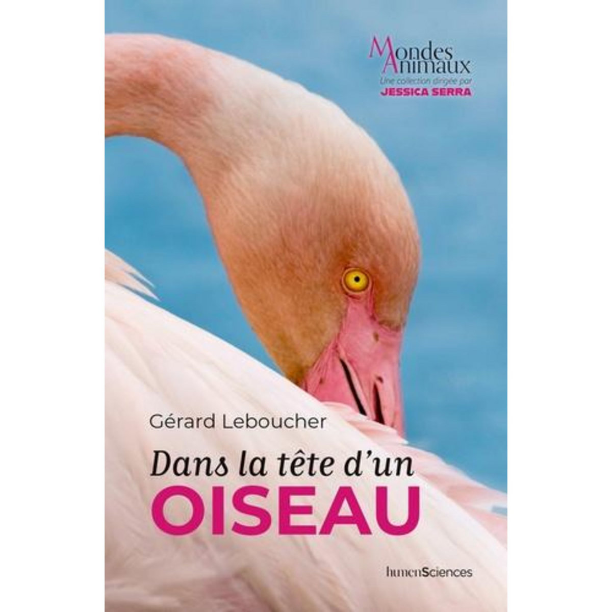 DANS LA TETE D'UN OISEAU, Leboucher Gérard
