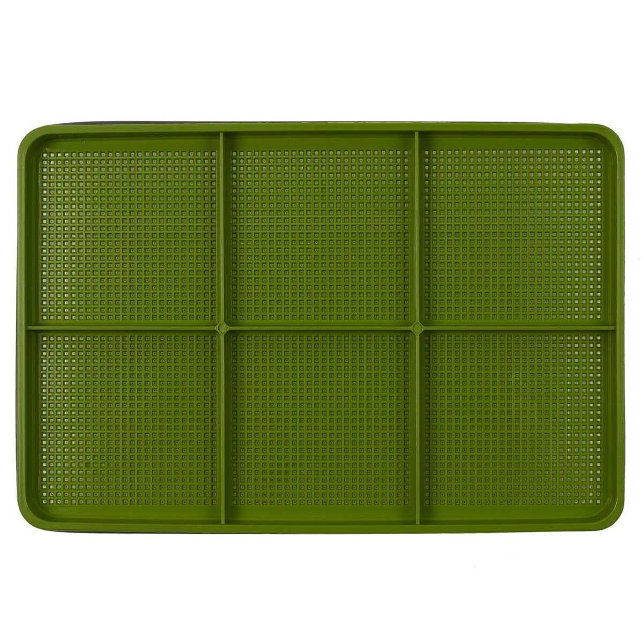 Voir la diapositive 5 : COOK CONCEPT Plateau de germination  graines  30cm vert