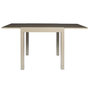 Voir la diapositive 3 : The Home Deco Factory Table de jardin extensible HARIA - Beige