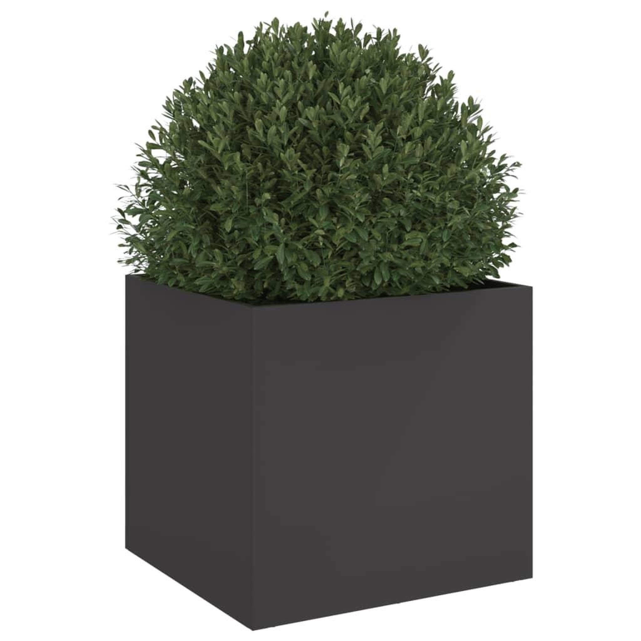 Voir la diapositive 4 : VIDAXL Jardiniere noir 42x40x39 cm acier