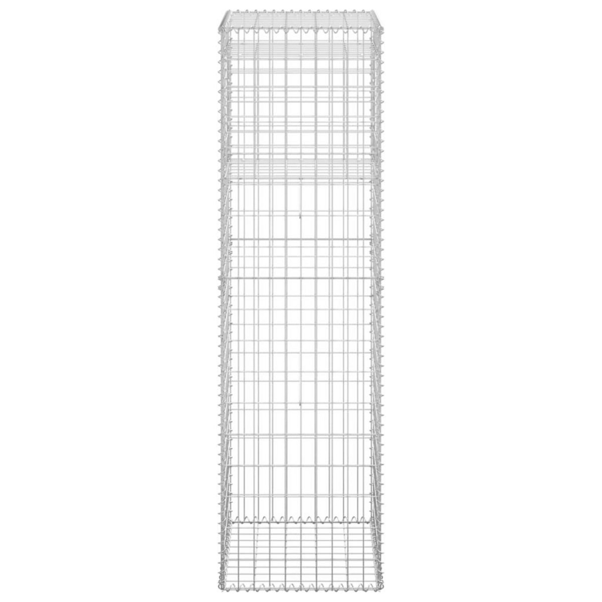 VIDAXL Poteau a panier de gabion 50x50x180 cm Fer