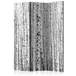 Paris Prix Paravent 3 Volets  Birch Forest  135x172cm