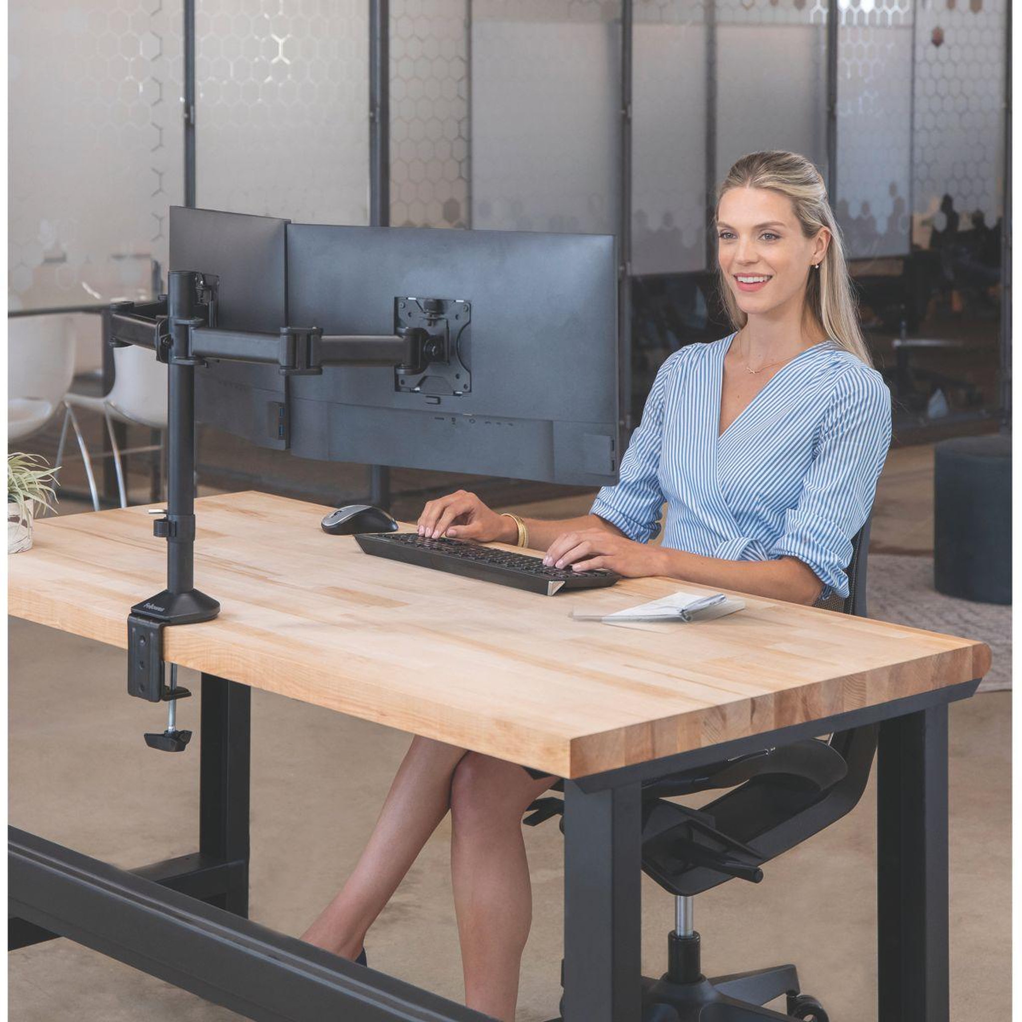 Voir la diapositive 3 : Fellowes Support écran pc support reflex double
