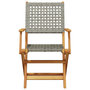 Voir la diapositive 4 : VIDAXL Chaises de jardin pliantes lot de 4 gris poly rotin bois massif