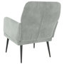 Voir la diapositive 5 : VIDAXL Fauteuil Gris clair 62x79x79 cm Velours