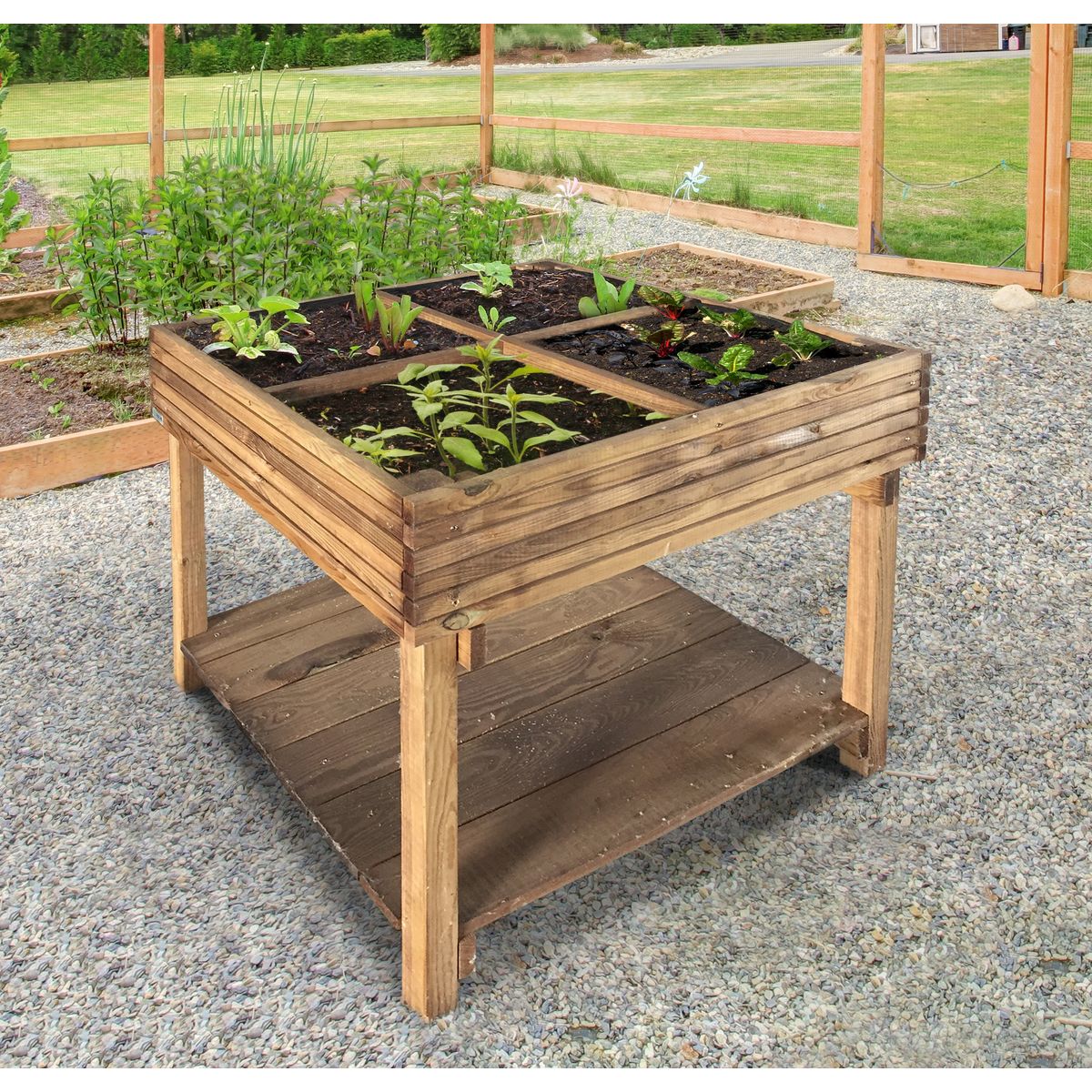 Carré potager sur pieds L80x80xH90cm