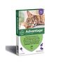 Voir la diapositive 2 : Advantage ADVANTAGE 80 - 6 pipettes antiparasitaires - Pour chat et lapin de 4kg et plus