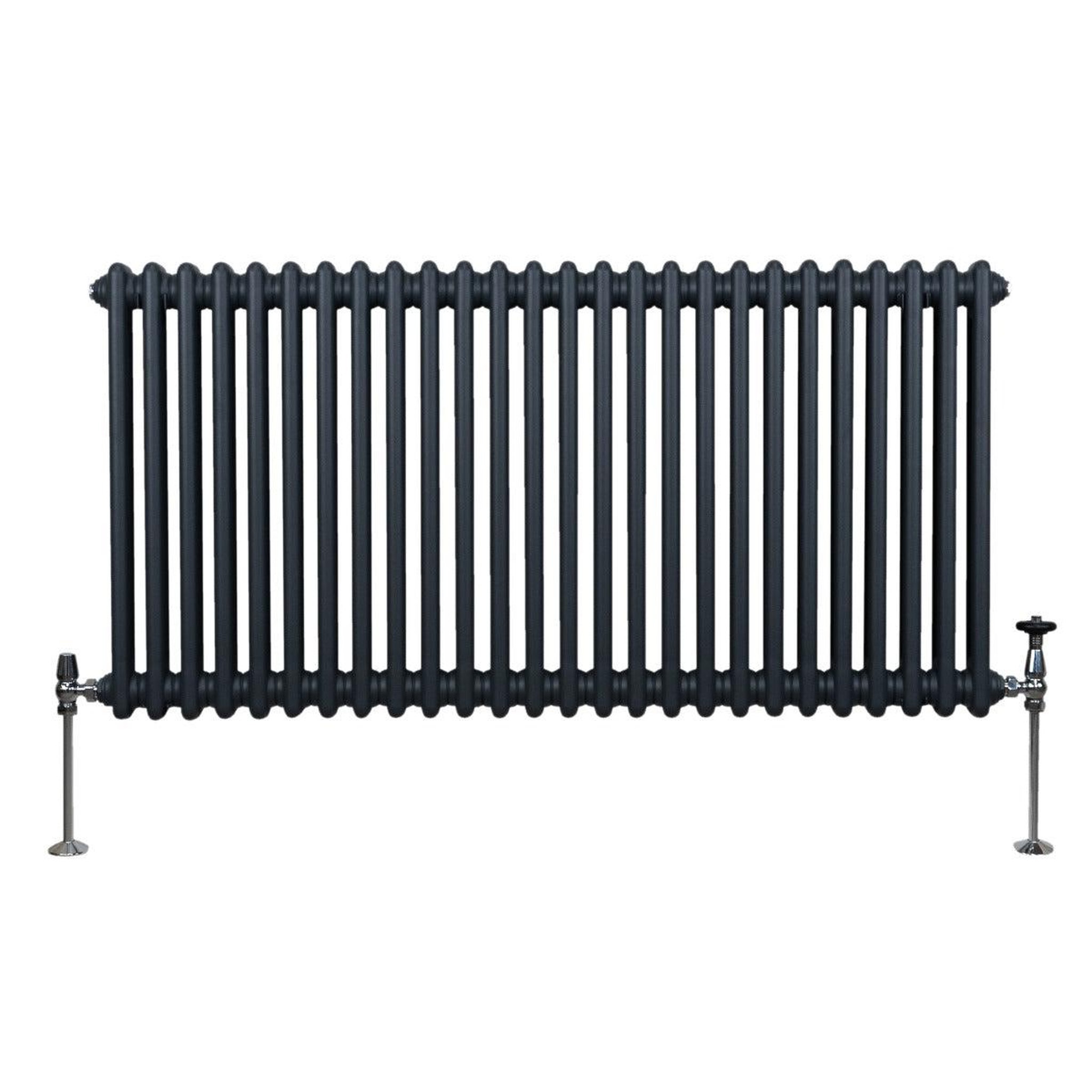Voir la diapositive 2 : MONSTERSHOP Radiateur traditionnel à 2 colonnes – 600 x 1192 mm