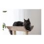 Voir la diapositive 5 : KERBL Arbre a chat - 49x35x56 cm - Ambiance - KERBL - Taupe - Sisal