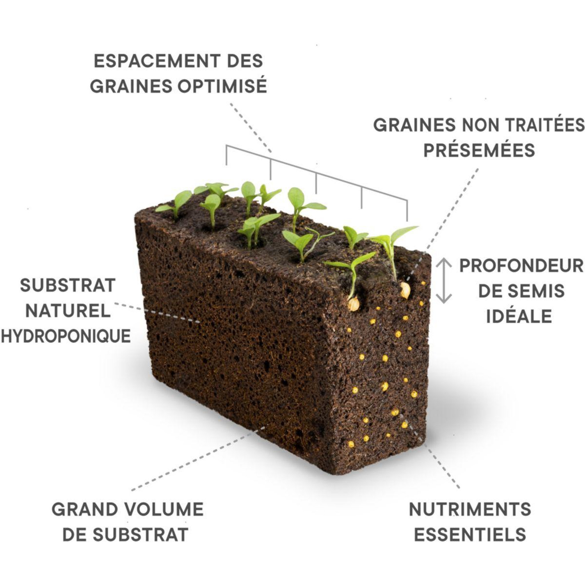 Voir la diapositive 3 : VERITABLE Recharge jardin d'intérieur piment Jalapeno