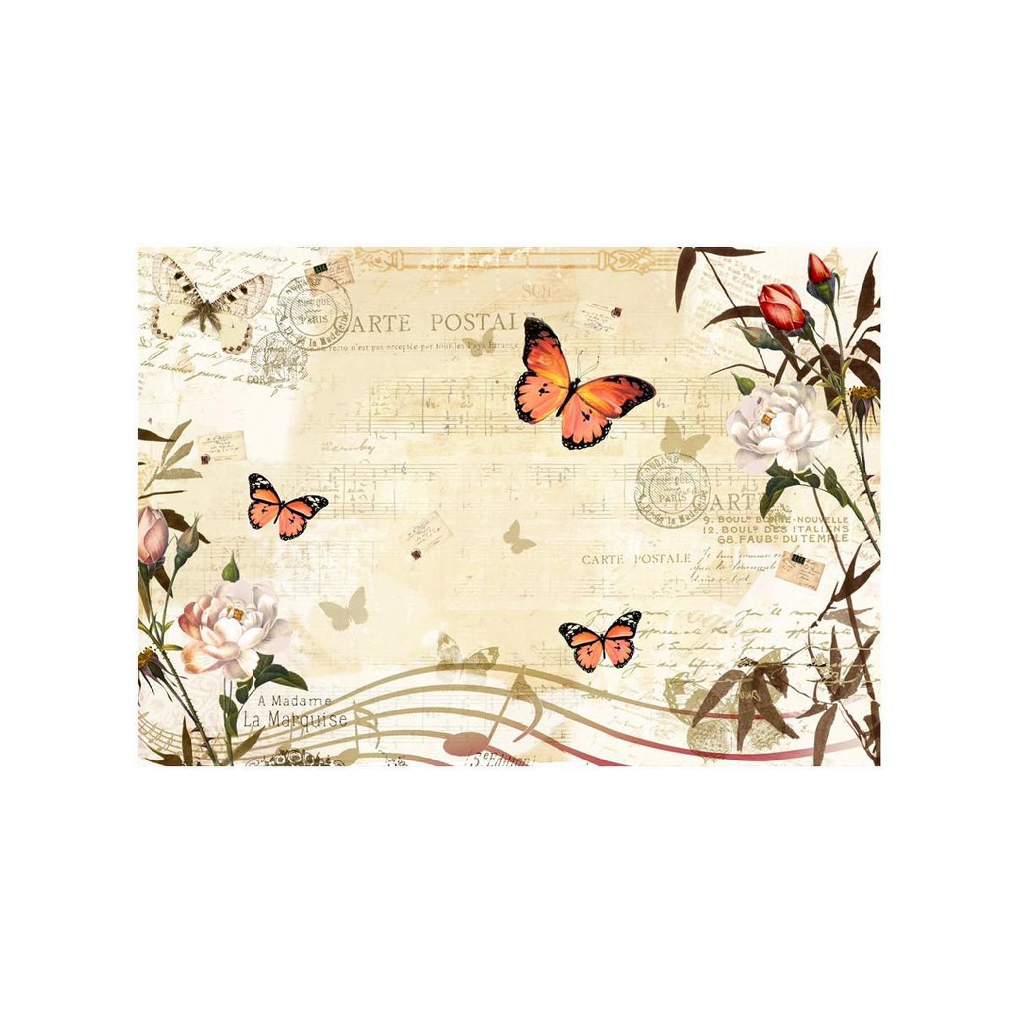 Voir la diapositive 2 : Paris Prix Papier peint  melodies of butterflies