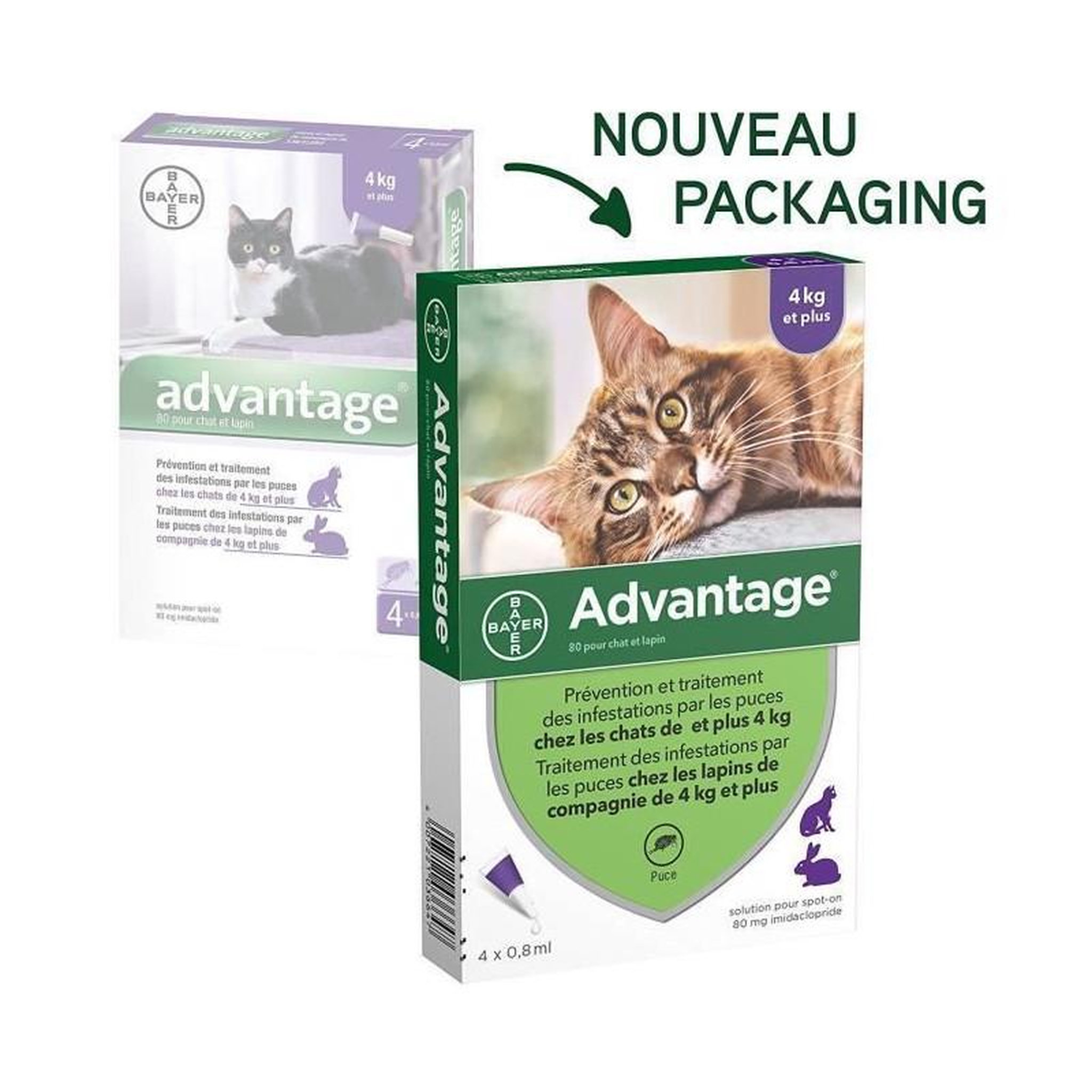 Advantage ADVANTAGE 80 - 6 pipettes antiparasitaires - Pour chat et lapin de 4kg et plus