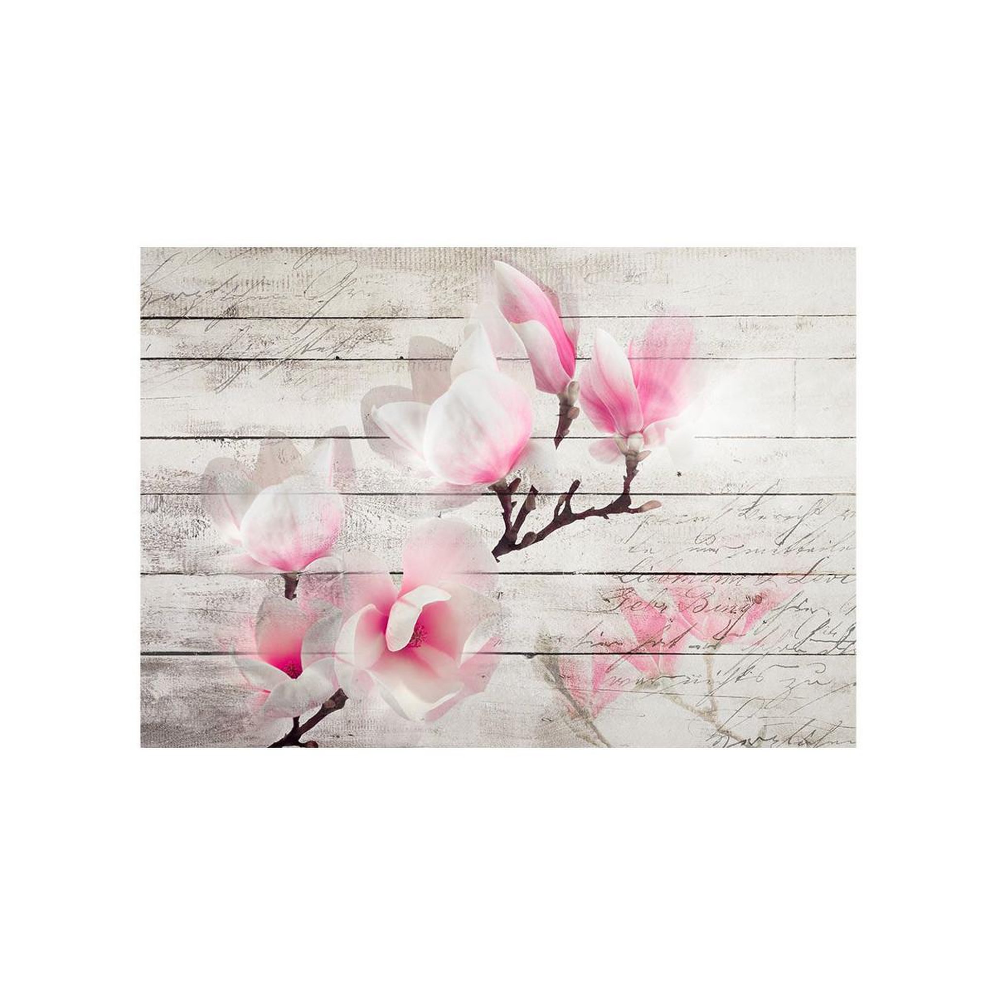 Voir la diapositive 2 : Paris Prix Papier Peint  Gentleness of the Magnolia