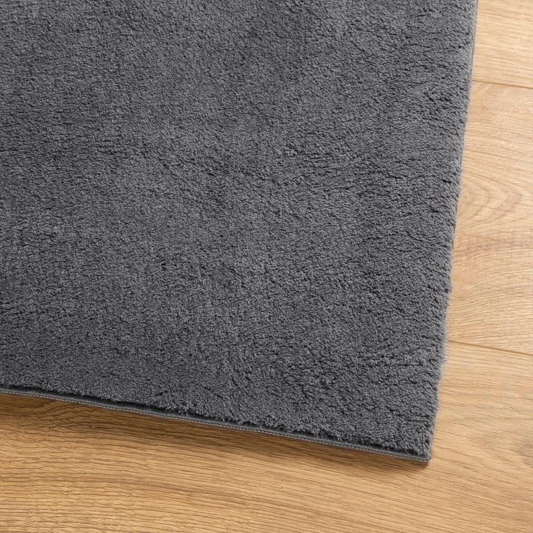 Voir la diapositive 4 : VIDAXL Tapis HUARTE a poils courts doux lavable anthracite 120x170 cm