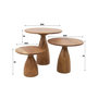 Voir la diapositive 4 : LISA DESIGN Henna - lot de 3 tables basses gigognes - bois d'acacia massif
