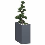 VIDAXL Jardiniere anthracite 40x80x80 cm acier