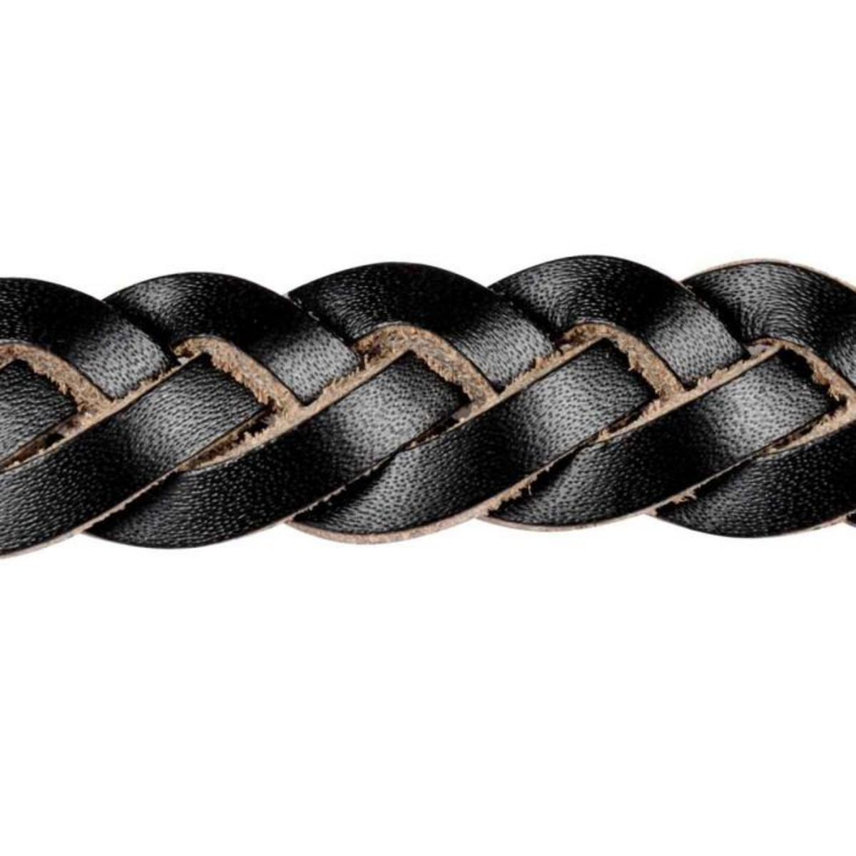 Paris Prix Laisse pour Chien en Cuir  Tressé  120cm Noir