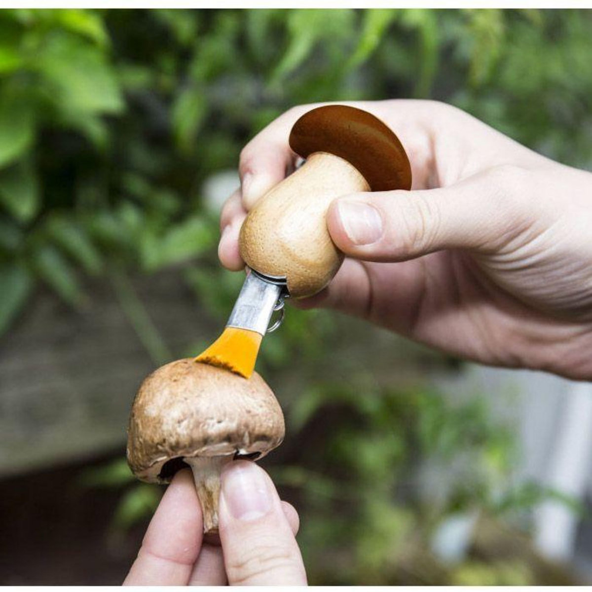 Kikkerland Couteau à champignons