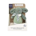 DOUDOU ET COMPAGNIE Veilleuse bebe musicale culbuto verte - 16 cm