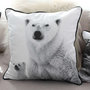Voir la diapositive 2 : TOILINUX Coussin imprimé ours Epicéa - 40 x 40 cm - Blanc