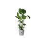 Voir la diapositive 3 : ELHO Pot de fleurs rond en plastique Ø 30 cm Elho Greenville Round gris ciment pour jardin et balcon