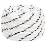 Voir la diapositive 1 : VIDAXL Corde de bateau tresse Blanc 18 mmx25 m Polyester