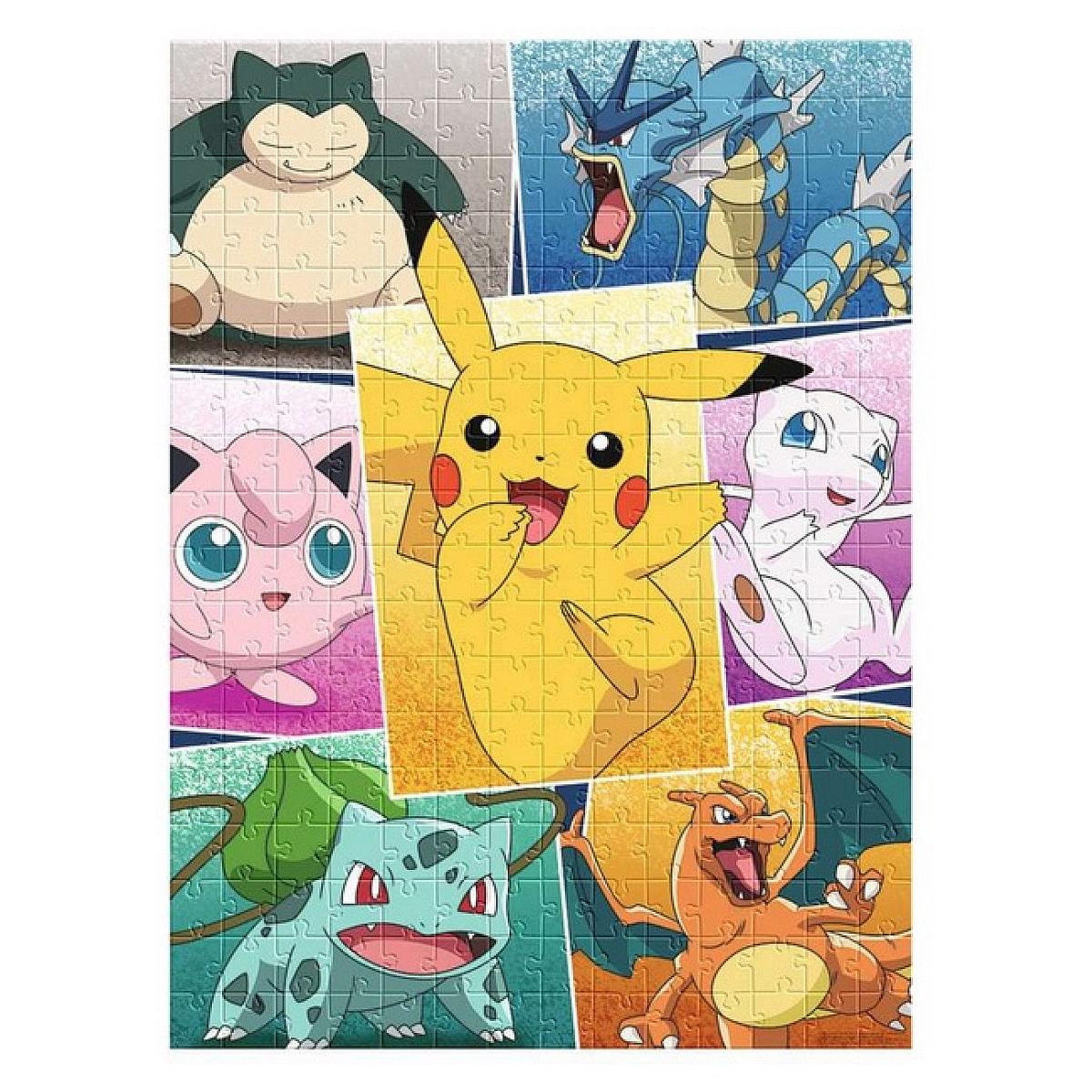 Voir la diapositive 2 : Nathan Puzzle Types de Pokemon 250 pieces