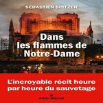DANS LES FLAMMES DE NOTRE-DAME, Spitzer Sébastien