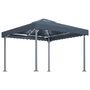 Voir la diapositive 2 : VIDAXL Tonnelle avec guirlande lumineuse LED 300x300 cm Anthracite