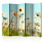 Paris Prix Paravent 5 Volets  Daisies Spring Meadow II  172x225cm