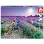 EDUCA Puzzle 1000 pcs Velo dans un champ de lavande