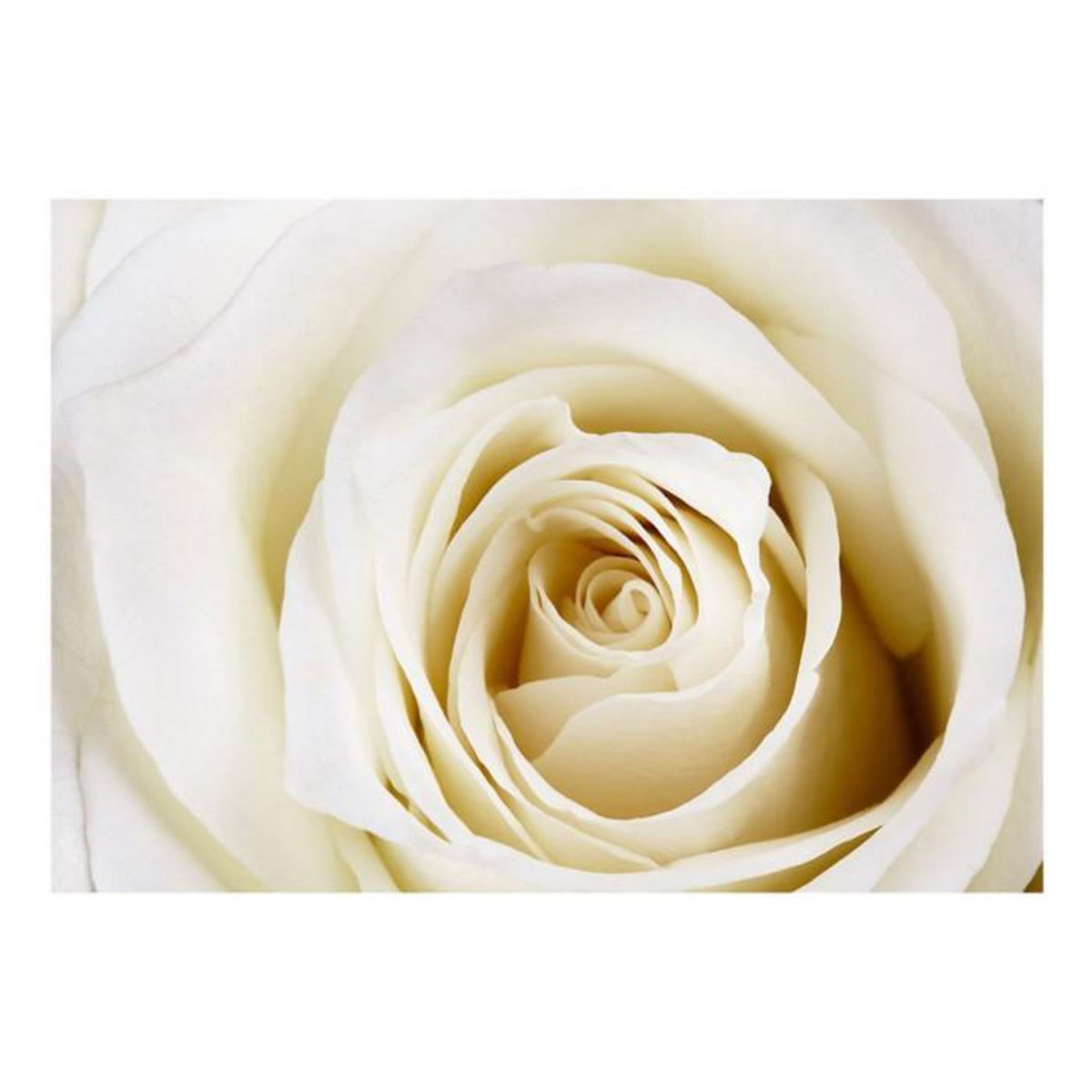 Paris Prix Papier Peint  Pearl Maze