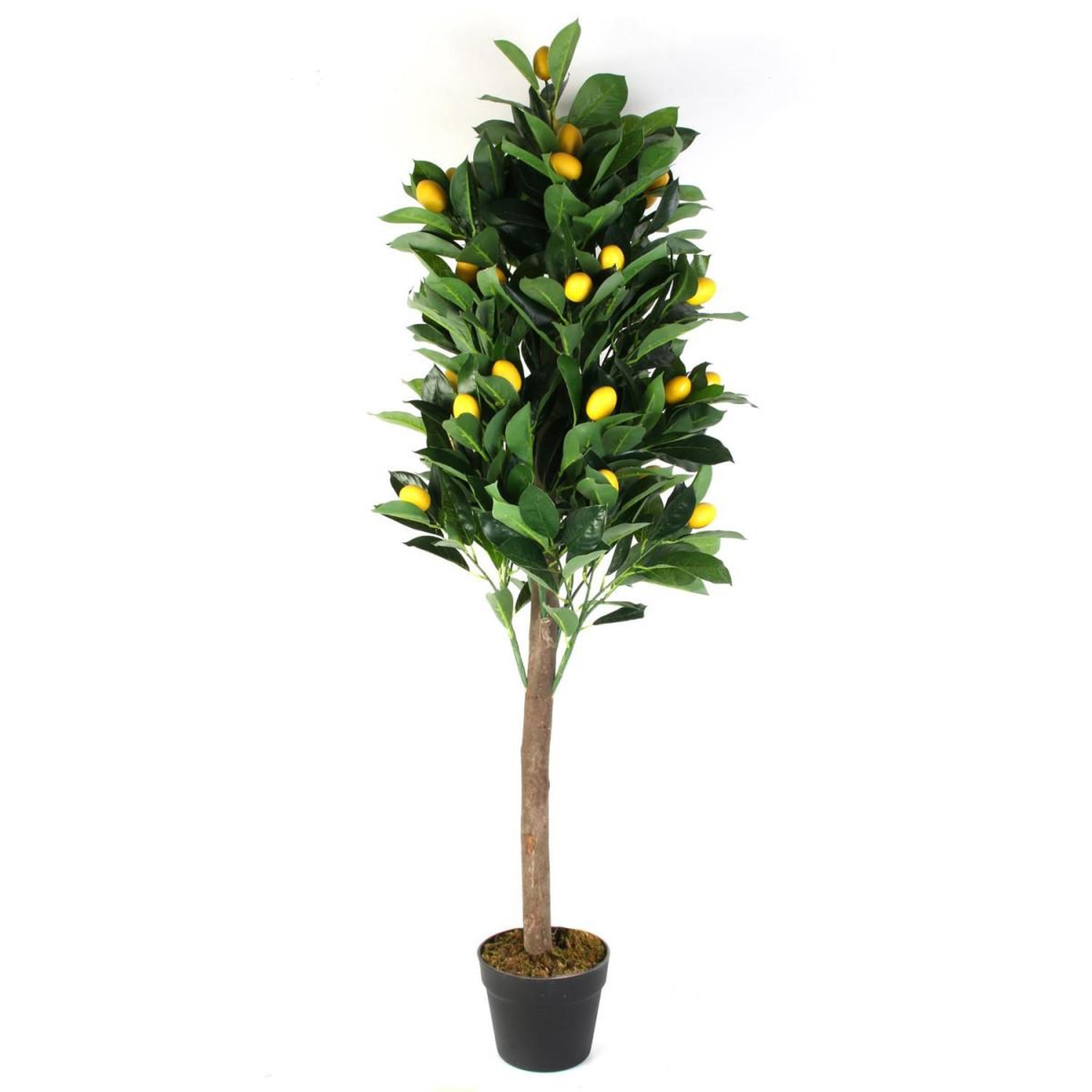 The Home Deco Factory Plante artificielle en pot  citronnier  120cm vert