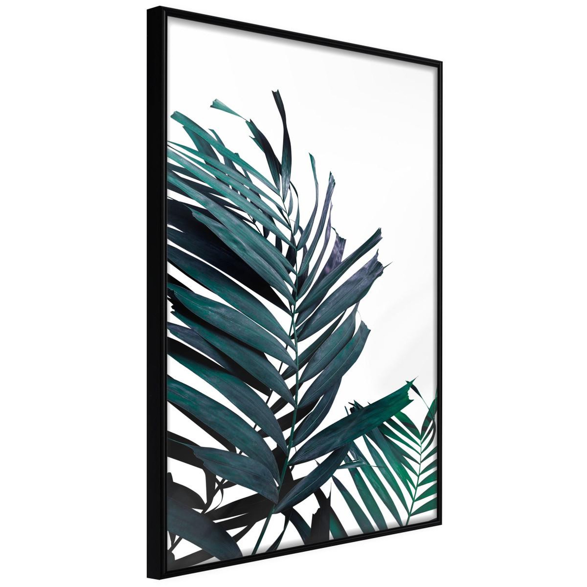 Paris Prix Affiche murale encadrée  evergreen palm leaves