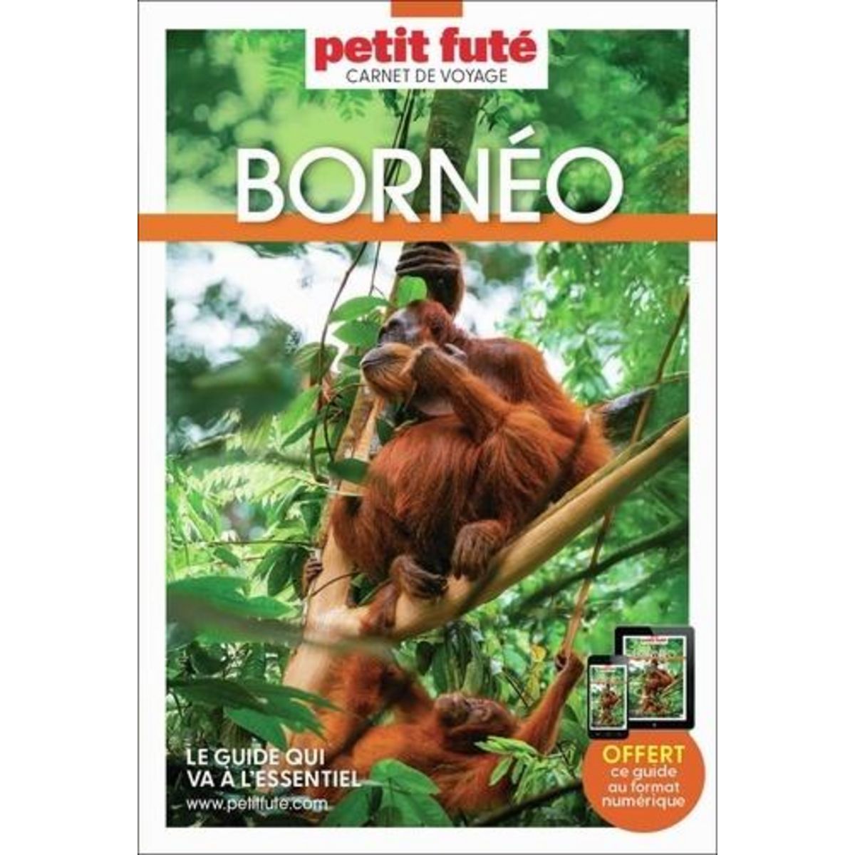 BORNEO. EDITION 2026, Petit Futé