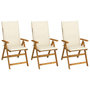 Voir la diapositive 1 : VIDAXL Chaises pliables de jardin lot de 3 avec coussins Bois d'acacia