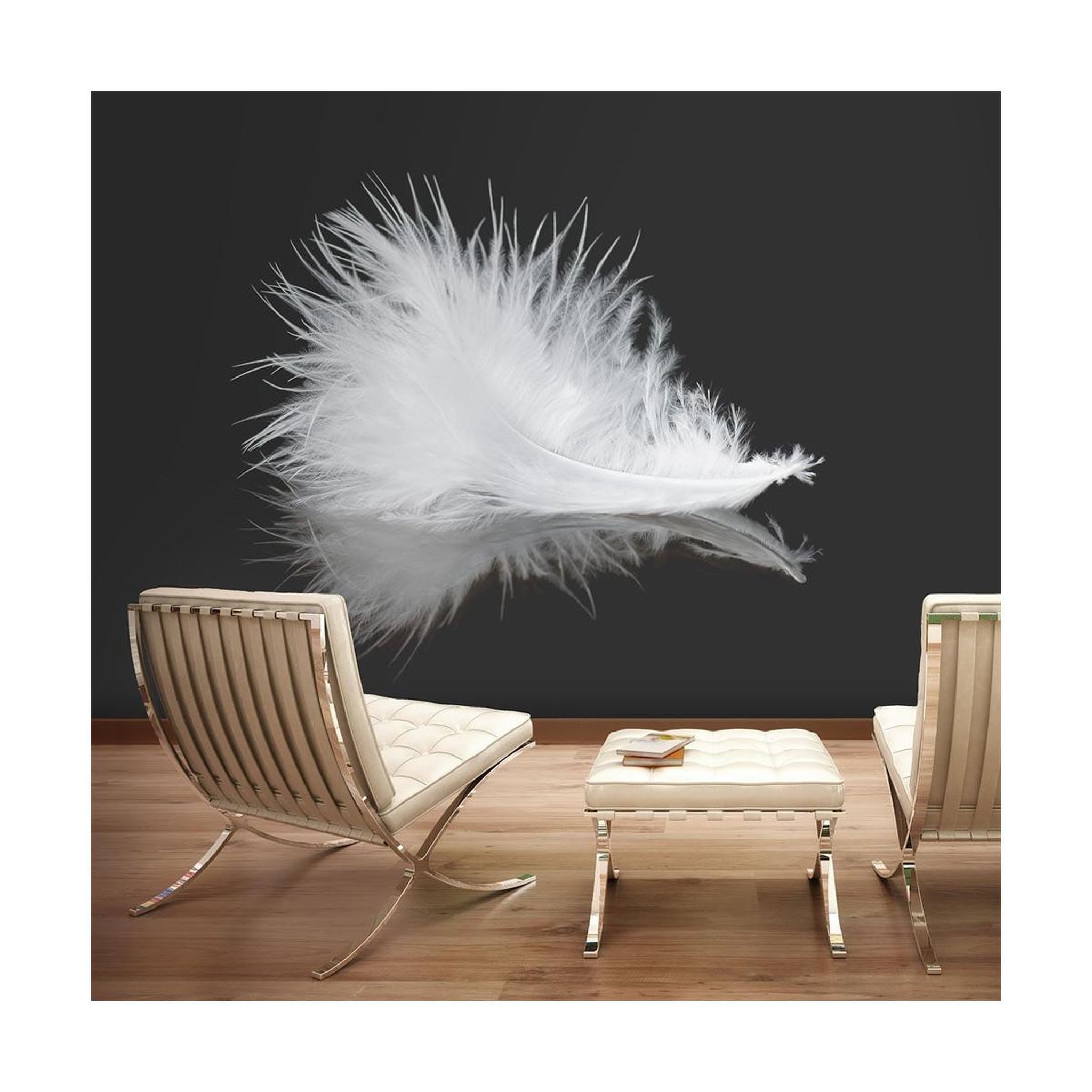 Voir la diapositive 1 : Paris Prix Papier Peint  White Feather
