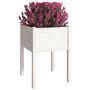 Voir la diapositive 3 : VIDAXL Jardinieres 2 pcs Blanc 50x50x70 cm Bois de pin massif