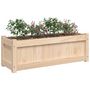 Voir la diapositive 4 : VIDAXL Jardinieres 2 pcs bois de pin massif
