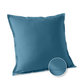 Bleu canard 