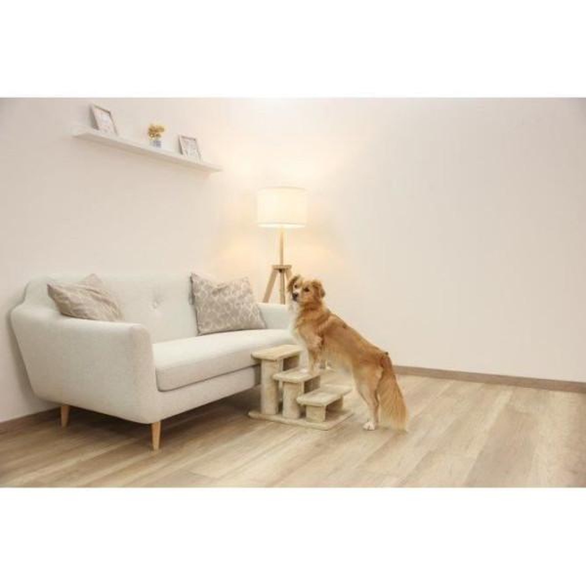 Voir la diapositive 4 : KERBL KERBL - Escalier pour animaux - 45 x 35 x 34 cm - Jusqu'a 50 kg