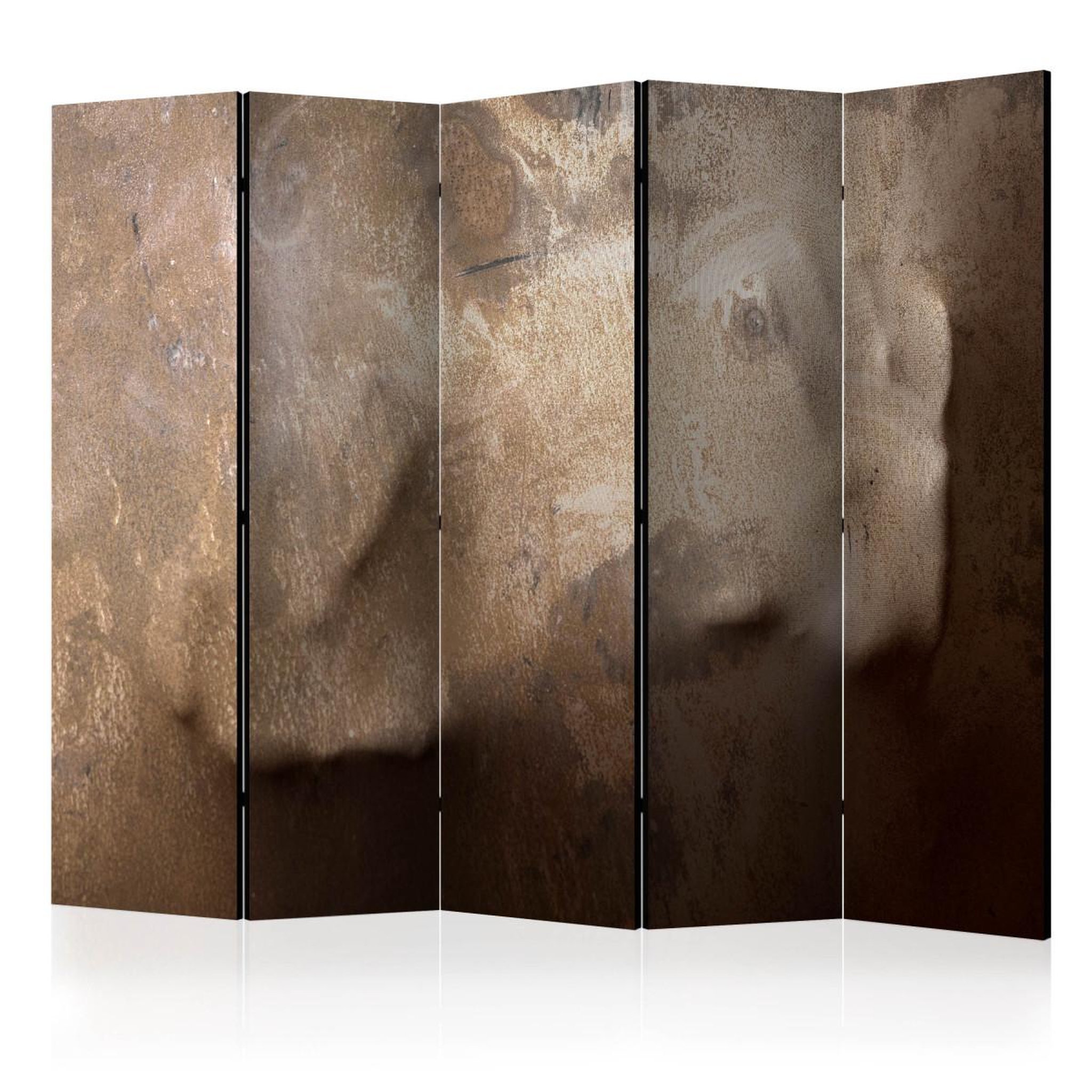Paris Prix Paravent 5 volets  the warmth of your hand  172x225cm