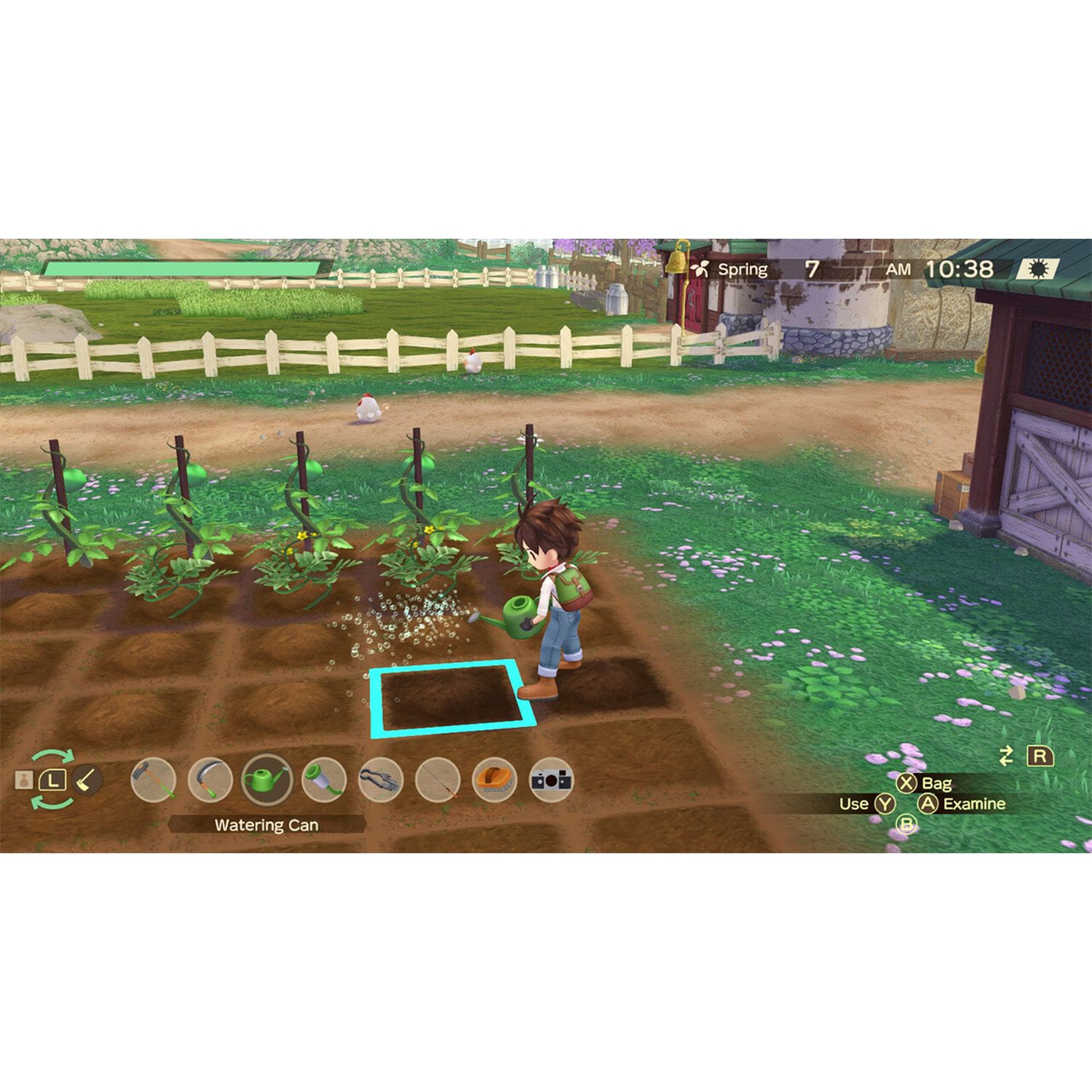 Voir la diapositive 3 : Story Of Seasons : A Wonderful Life Nintendo Switch
