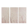 Voir la diapositive 1 : Paris Prix Lot de 3 Toiles Déco  Sakura  50x100cm Rose