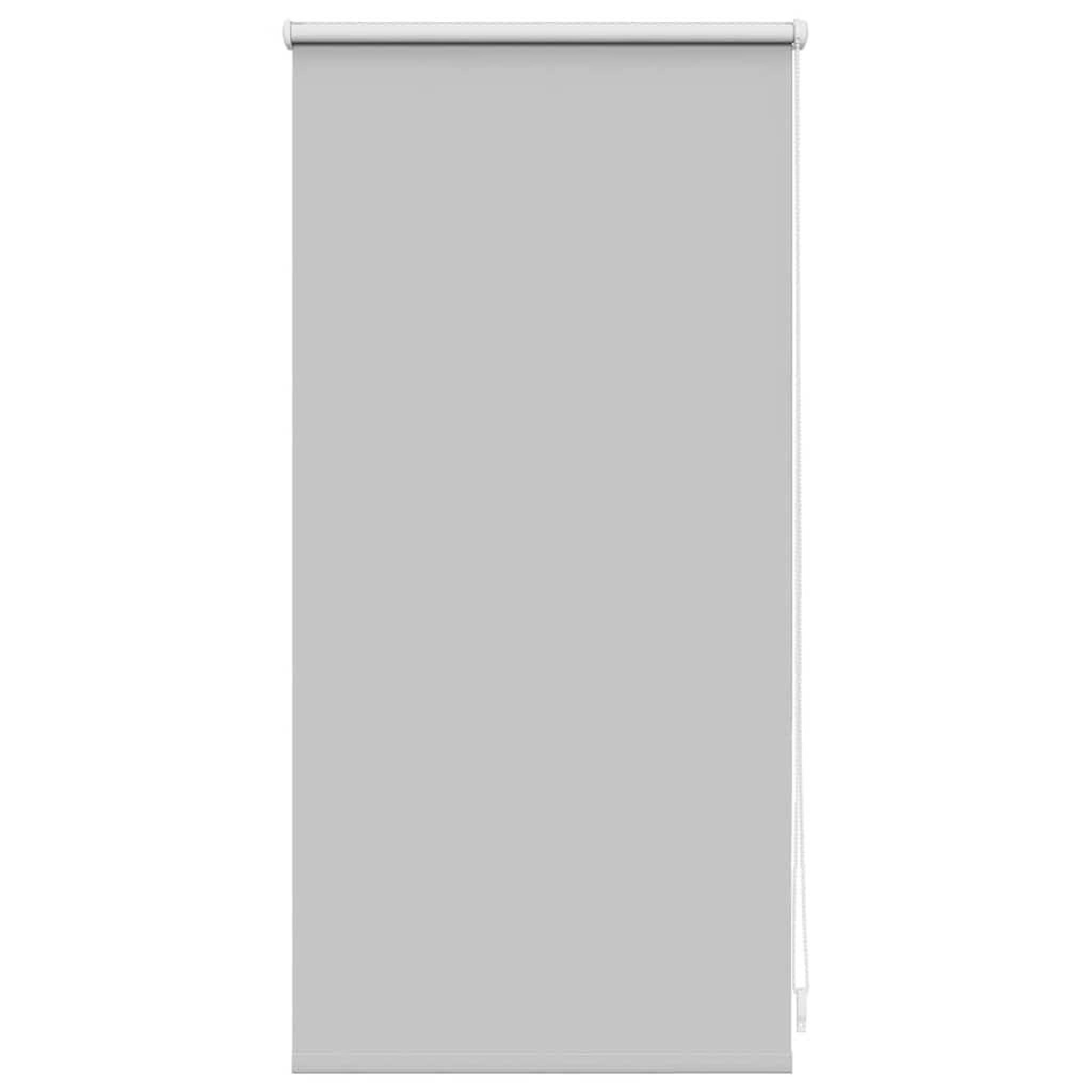 VIDAXL Store enrouleur occultant 44,4 x 100 cm, largeur du tissu 40 cm, gris