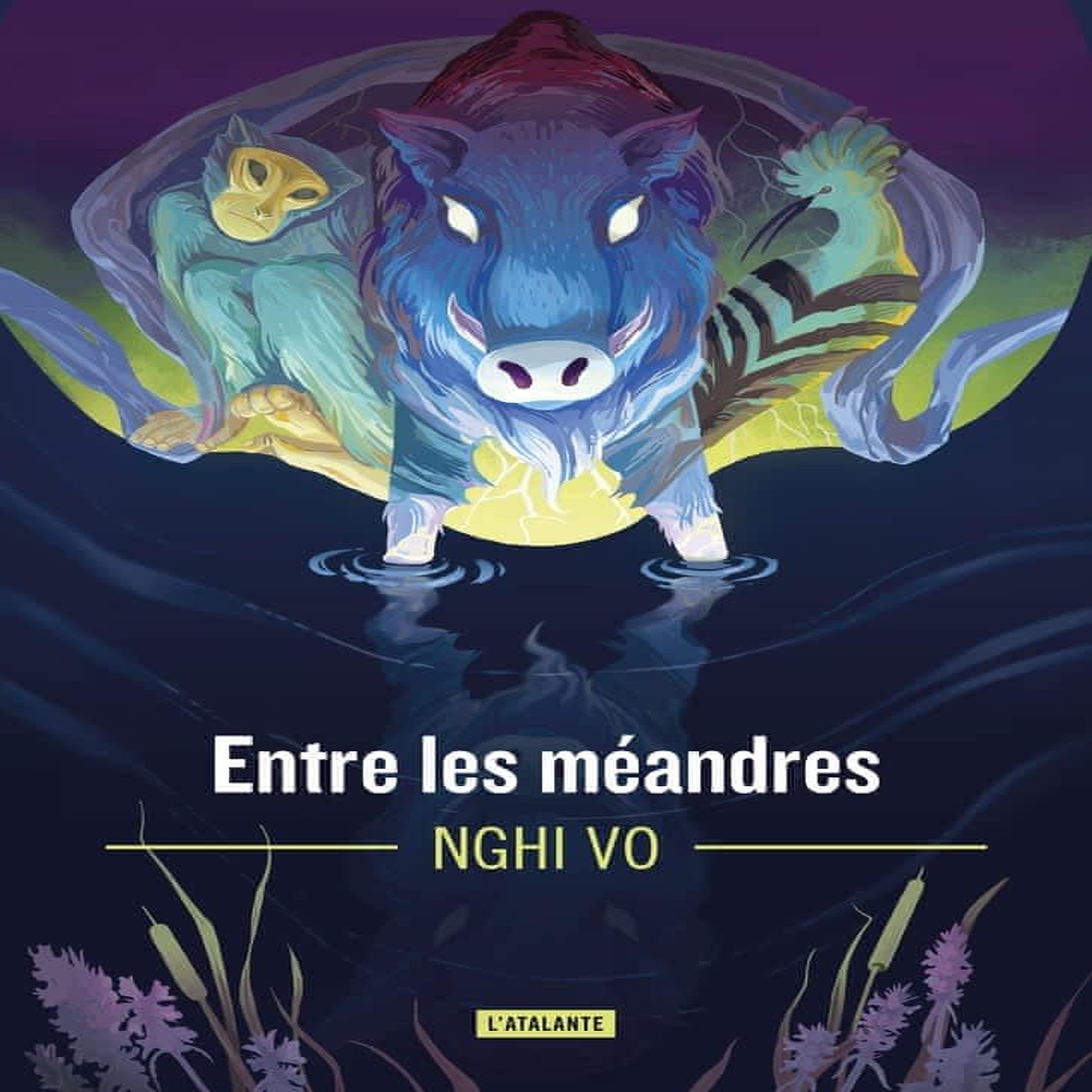 LES ARCHIVES DES COLLINES-CHANTANTES TOME 3 : ENTRE LES MEANDRES, Vo Nghi