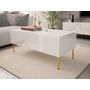 Voir la diapositive 1 : BEST MOBILIER Celeste - table basse - 2 portes - 120 cm